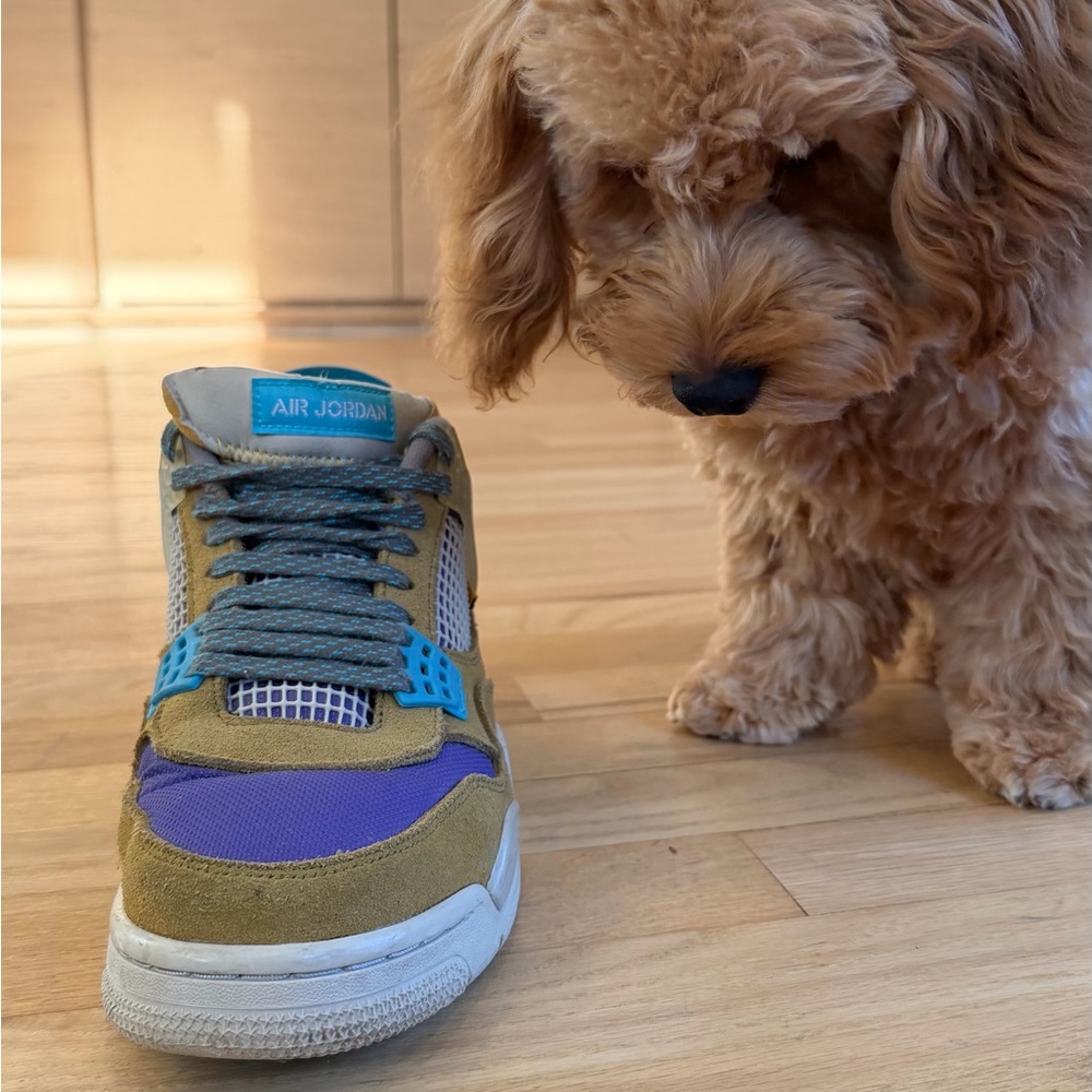 Jordan 4 Retro SP
30th Anniversary Union Desert Moss
Box and wrapping paper. - Picture 7 of 16